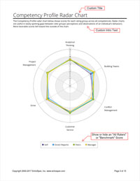 Competency Profile Radar Chart