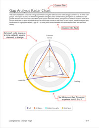 Gap Analysis Radar Chart