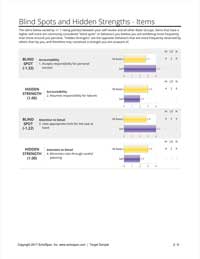 Blind Spots and Hidden Strengths - Items