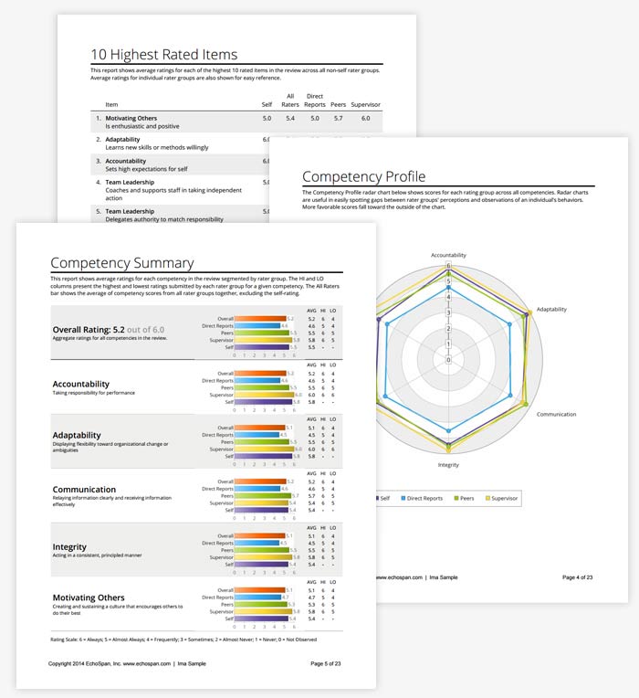 EchoSpan 360-Degree Feedback Report Images